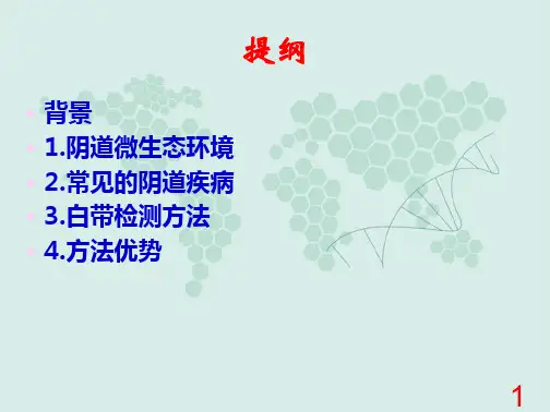 妇科五联检技术PPT课件
