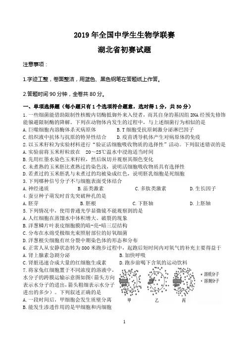 2019年全国中学生生物学联赛 初赛试题(湖北)