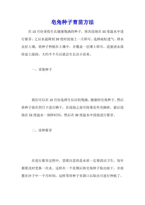 皂角种子育苗方法