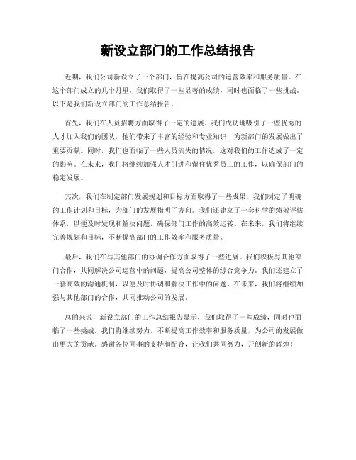 新设立部门的工作总结报告