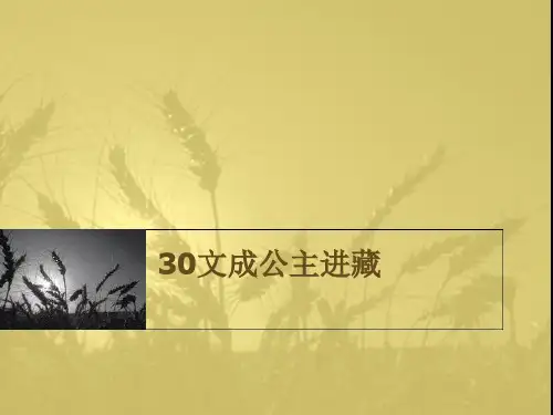 《文成公主进藏》PPT课件