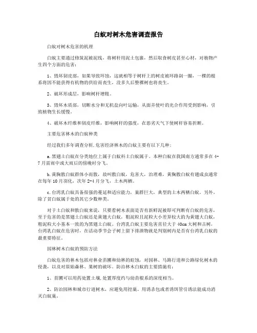 白蚁对树木危害调查报告