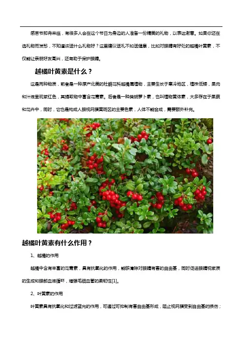 感恩节礼物推荐：越橘叶黄素