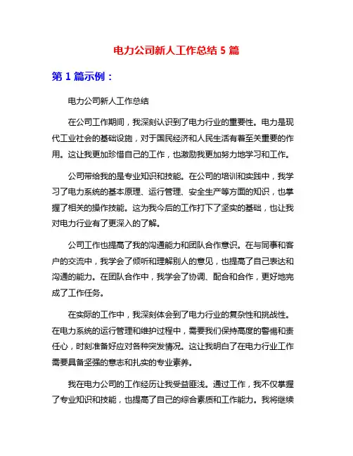 电力公司新人工作总结5篇