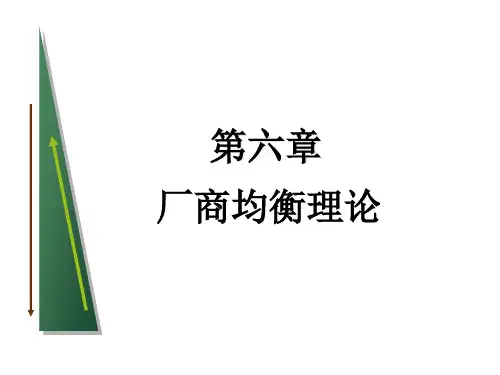 6第六章 厂商均衡理论(改)