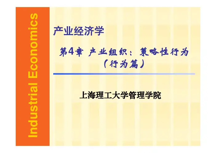 战略管理-产业经济学-产业组织策略性行为