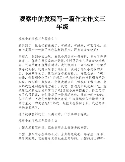观察中的发现写一篇作文作文三年级