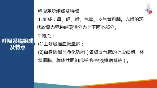 呼吸系统疾病(病理学与病理生理学课件)