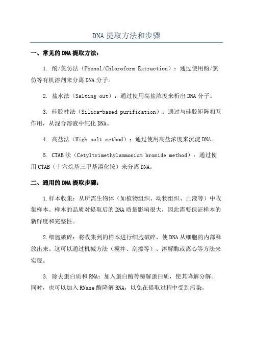 DNA提取方法和步骤