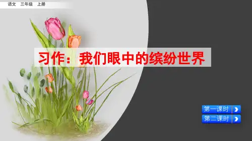 部编版三年级语文上册习作《我们眼中的缤纷世界》精美课件