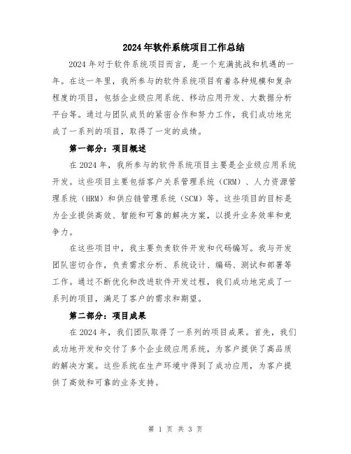 2024年软件系统项目工作总结