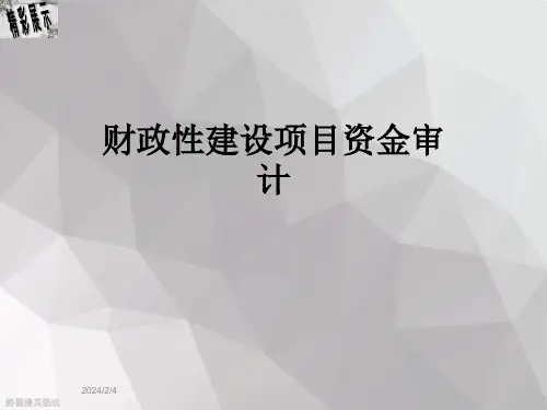 财政性建设项目资金审计