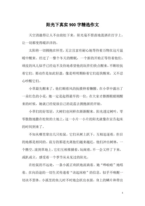 阳光下真实900字精选作文