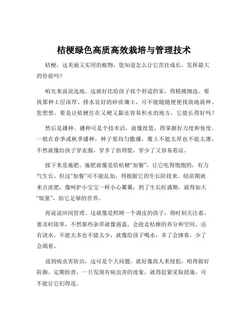桔梗绿色高质高效栽培与管理技术