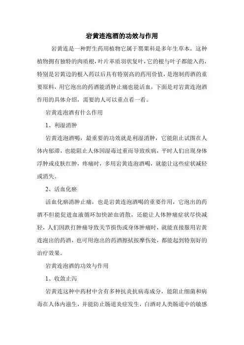 岩黄连泡酒的功效与作用