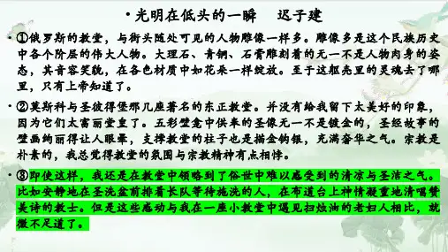 散文：光明在低头的一瞬
