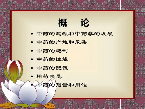 中药概论