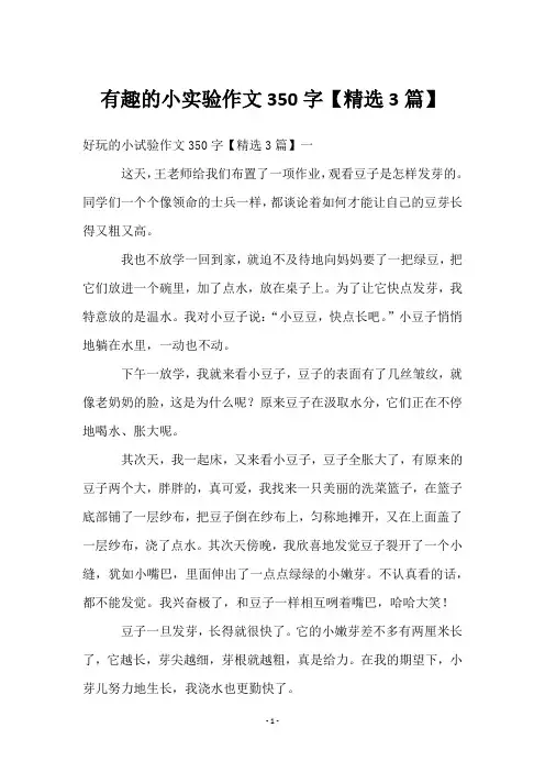 有趣的小实验作文350字【3篇】