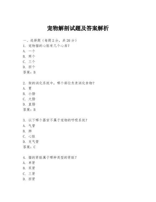 宠物解剖试题及答案解析