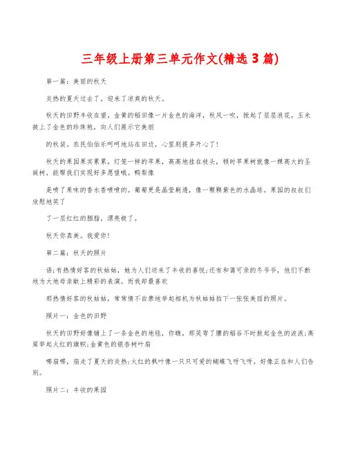 三年级上册第三单元作文(精选3篇)