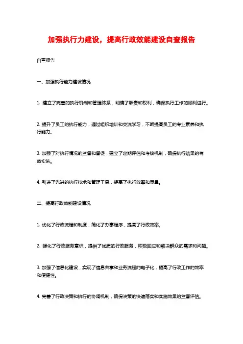 加强执行力建设,提高行政效能建设自查报告