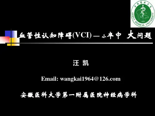3-血管性认知功能障碍--汪凯