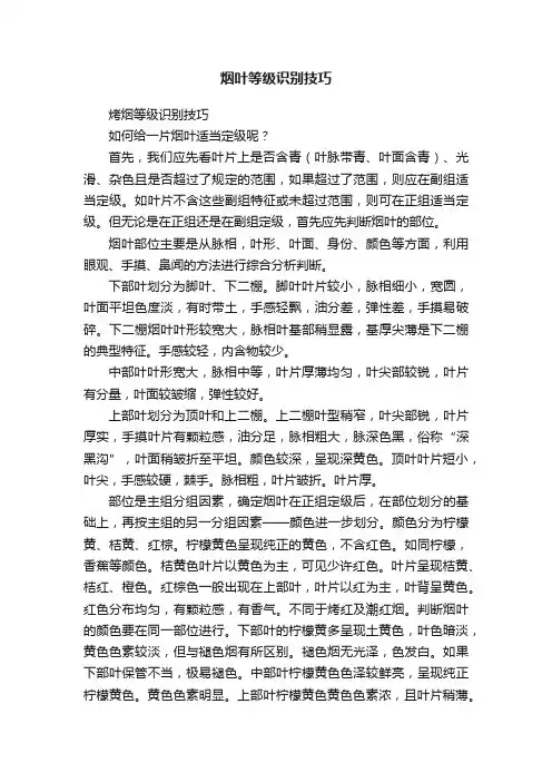 烟叶等级识别技巧