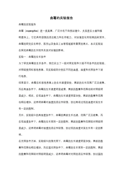 曲霉的实验报告