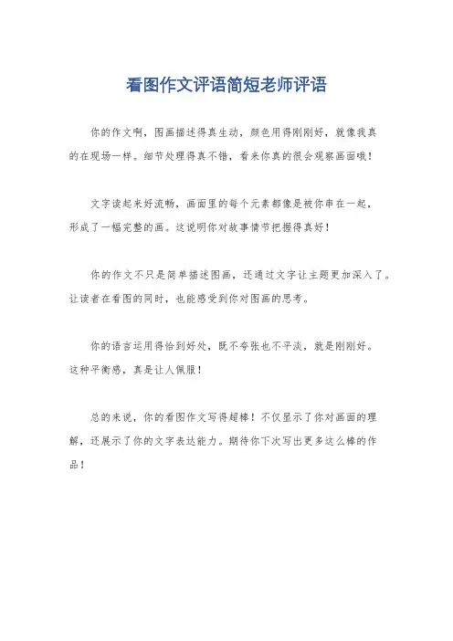 看图作文评语简短老师评语