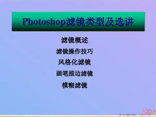 第十讲Photoshop滤镜类型及选讲ppt课件