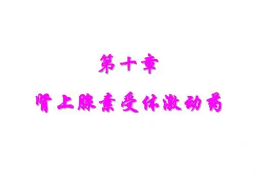 药理学10肾上腺素受体激动药