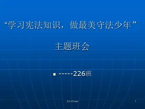 法治主题班会ppt课件