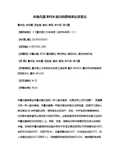 布鲁氏菌BP26蛋白的原核表达及鉴定