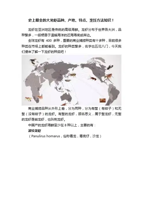 史上最全的大龙虾品种、产地、特点、烹饪方法知识！