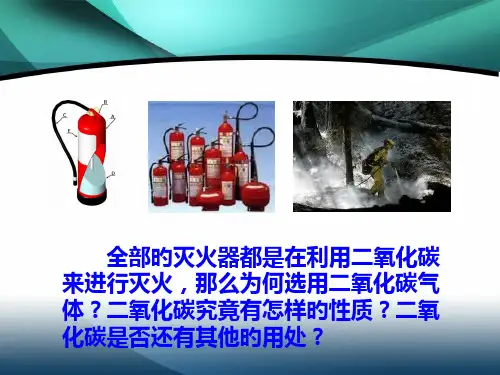 课题二氧化碳和一氧化碳
