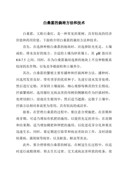 白桑葚的栽培方法和技术