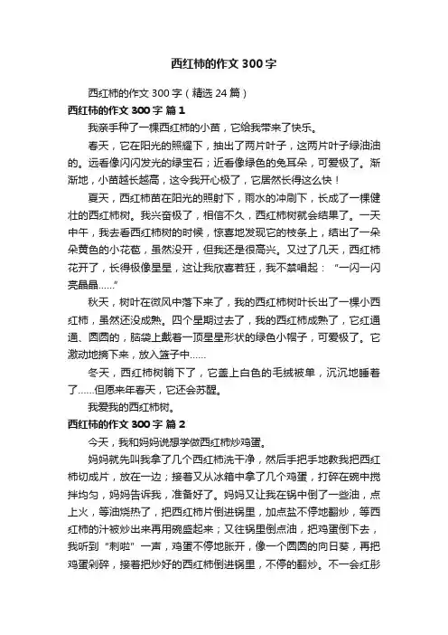 西红柿的作文300字（精选24篇）