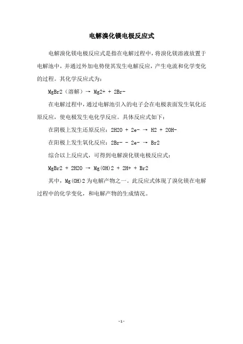 电解溴化镁电极反应式
