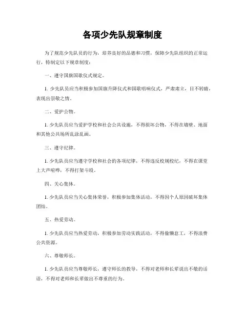 各项少先队规章制度