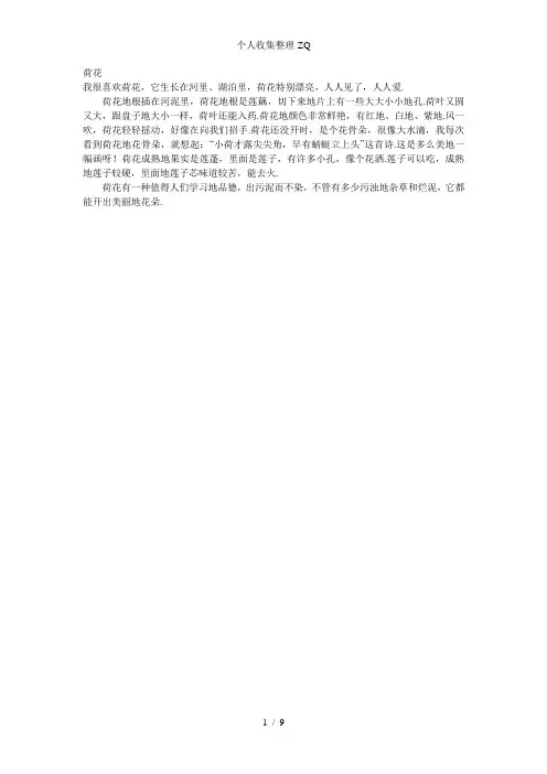 荷花范文(阅读理解)