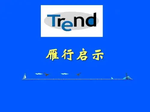 大雁的启示