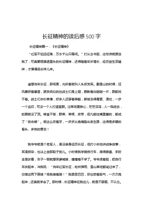 长征精神的读后感500字