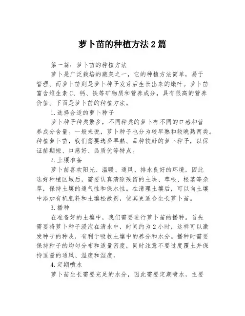 萝卜苗的种植方法2篇