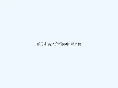 威尼斯英文介绍ppt演示文稿