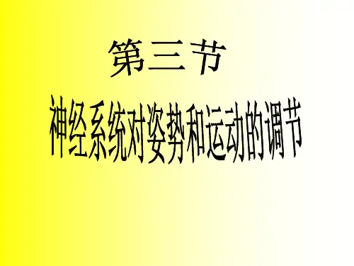 了解基底神经节的功能