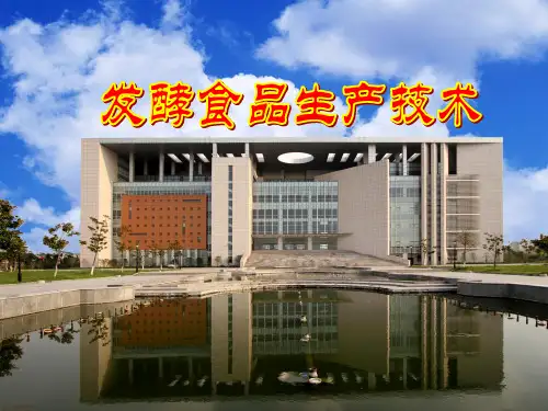 酱油生产技术概论(PPT 99页)