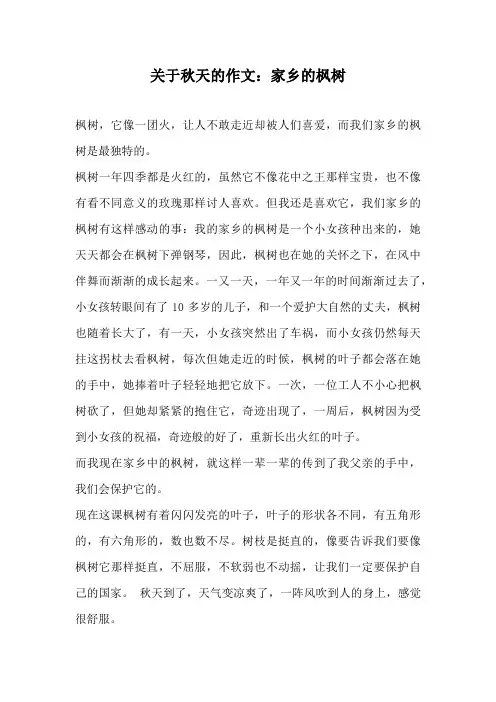 初中作文-关于秋天的作文：家乡的枫树