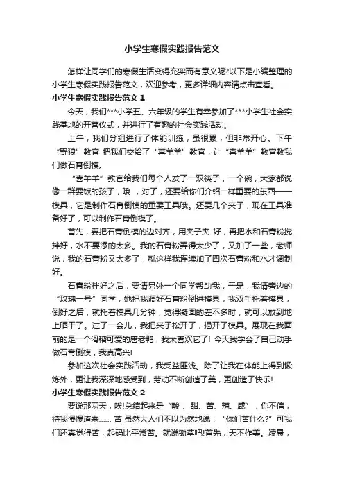 小学生寒假实践报告范文