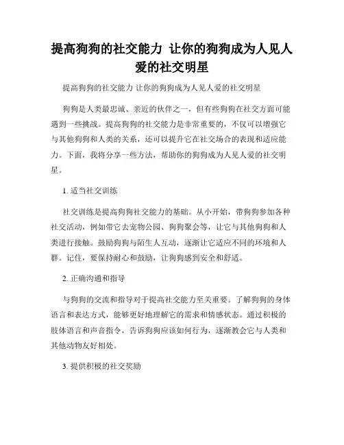 提高狗狗的社交能力  让你的狗狗成为人见人爱的社交明星