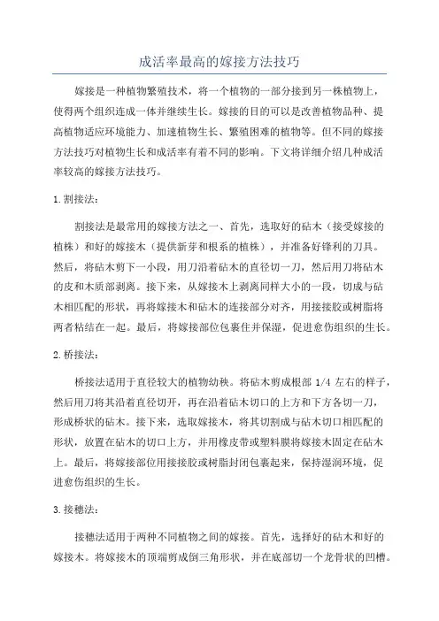 成活率最高的嫁接方法技巧